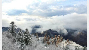 단풍 위에 눈…“설악산은 이제 겨울입니다”