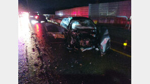 만취 운전자 역주행에 60대 대리운전 가장 안타까운 죽음