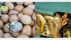 ‘유통기한 지난 카레·썩은 계란’ 軍급식 또 논란…“전량 폐기”