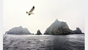 [속보] 독도 북동쪽 277㎞ 해상서 10여명 탄 선박 전복…해경 수색 중