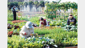 국제농업박람회 개막 준비 한창