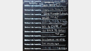 [고양이 눈]죽기 전에 이것만은