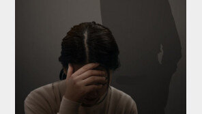 술자리서 여성 폭행당하는데…동석 경찰·정치권 인사는 ‘모른척’