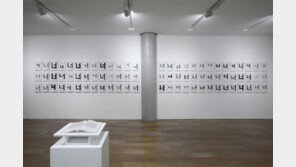 사라지는 것을 기억하며 칠하고 새기다