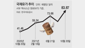정부, ‘11월~내년3월’ 유류세 한시 인하 검토