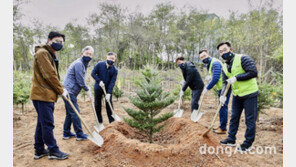 풀무원, 파주 접경지역에 ‘풀무원 평화의 숲’ 조성…2400여 평 규모