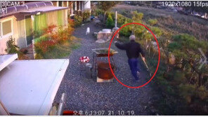 삽으로 개 쫓던 男 “개가 먼저 공격” vs 견주 “거짓말”