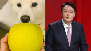 尹,‘전두환 사과’ 하루만에 ‘개 사과’ 파문…“모든 책임 제가” 거듭 사과