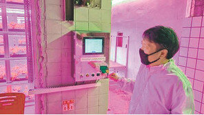 폐광지역에 스타트업 새 터전 마련… 지역엔 ‘활력’ 기업엔 ‘혜택’