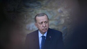 에르도안, ‘反정부 인사 석방’ 요구한 美·獨·佛 등 10개국 대사 추방 지시