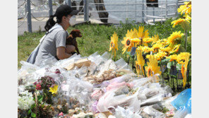 경찰, ‘손정민 친구’ 유기치사 혐의 불송치 결정…유족 “이의 제기”