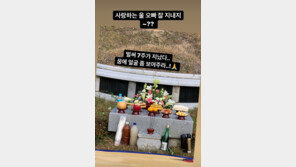 보아, 오빠 故 권순욱 향한 그리움 “꿈에 얼굴 좀 보여주라”