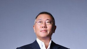 정의선 회장, 인도네시아 대통령 만난다…‘전기차 협력’ 논의