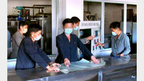 北, 한미일 북핵수석·정보수장 회동에 “멍청이 짓” 비난