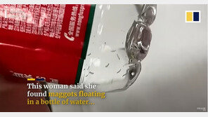 中 국민 생수의 배신… 밀폐된 생수병에 하얀 구더기가