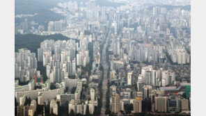 서울 대장 아파트값 상승세 6개월만에 주춤…“고점·조정 가능성도”