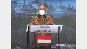 정의선 회장 “인도네시아 EV 생태계 조성에 적극 참여”