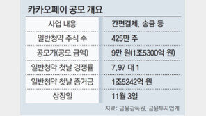 카카오페이 공모 첫날 60만명 신청… “조달자금 보험-투자 서비스에” 
