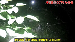 40대 가장 폭행 만취女, 경찰에게도 욕설 난동 영상 공개돼