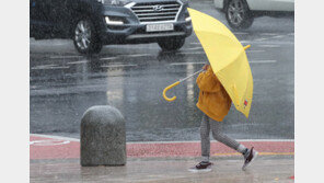 [날씨]내일 흐리고 새벽 한때 5㎜ 비…미세먼지 ‘나쁨’