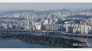 대출규제에 ‘똘똘한 한 채’…부동산 양극화 심화될 듯