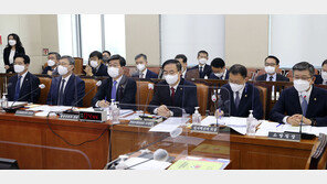 이재명·오세훈 위증 논란에 윤석열 비난까지…행안위 국감 공방전