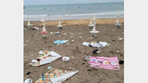 제주 해안에 플라스틱·비닐보다 많이 버려진 쓰레기…‘담배꽁초’