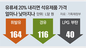 유류세 20% 인하… 휘발유 L당 164원 싸질듯 