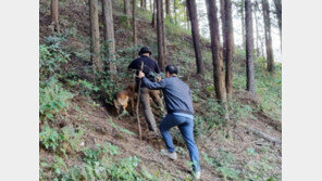 ‘전과 35범’ 성범죄자, 순천서 전자발찌 끊고 도주