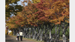 출근길 서울·경기남부·강원 5㎜ 미만 비…곳곳 짙은 안개 유의