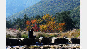 [날씨]비 그친 뒤 맑은 하늘…곳곳 미세먼지 ‘나쁨’