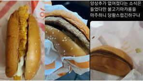 채소 수급 불안정에…양상추 빠진 맥도날드 햄버거