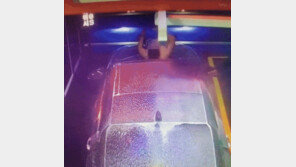 “수압 센데 괜찮나”…자동 세차장서 웃통 벗고 샤워한 남성