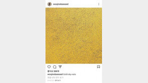 ‘수학 1타 강사’ 현우진, 36억5천만원 쿠사마 작품 낙찰