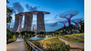 ‘위드코로나’ 싱가포르, 확진 5천명 돌파에 “추세 예의주시”