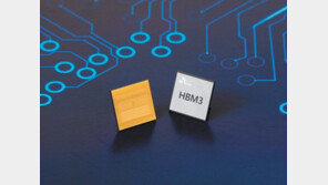 “1초에 819GB 처리” 업계 최초 HBM3 D램 개발