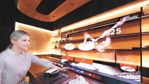 OLED 라인업 대폭 확대… 디스플레이 시장 ‘격변’