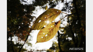 [날씨]쾌청한 ‘가을날씨’ 이어져…일교차 15도 이상