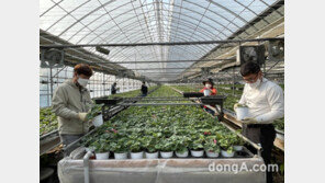 농협중앙회-경기관광공사, 함께하는 농촌봉사활동 실시