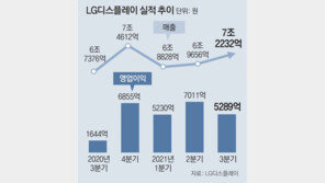 ‘프리미엄’으로 돌파구 찾는 LGD-기아 