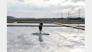 ‘제2 염전 노예’? 경찰, 임금체불한 신안 염전 수사