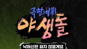 ‘야생돌’, 싹쓰리·데이식스 함께한 ‘낙하산…’ 발매