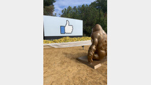 2.1m 높이의 고릴라상, 페이스북 본사 앞에 등장한 이유는?