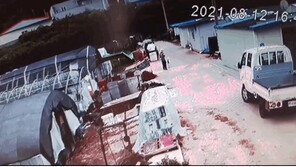 개에 물려 살 뜯기고 팔 골절…견주 “개가 한 일을 왜 내 책임”