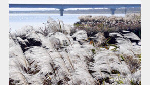 일교차 큰 전형적인 가을 날씨…낮 기온 17~21도