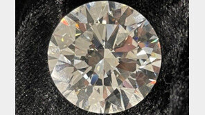 모조품인 줄 알고 버리려 했던 다이아몬드, 32억 원짜리였다