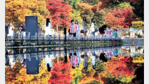 가을을 느끼며…