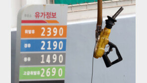 휘발유 가격 이번주도 폭등…일주일 만에 리터당 30원 올랐다