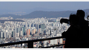 ‘9살 어린이’ 내집마련 ‘20채’…10대 222명 3년간 723채 ‘줍줍’