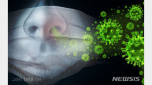 ‘중국산→보건마스크’ 둔갑 판매한 30대, 2심도 집행유예